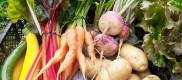 Le Potager d'Aillou