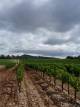 Domaine de Lastronques